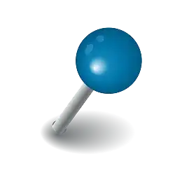 Pin