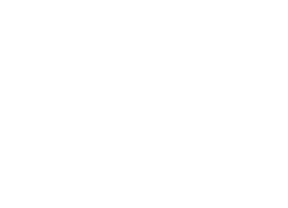 Logo Biz-On